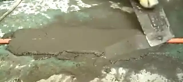 17.webp.jpg 17.webp.jpg