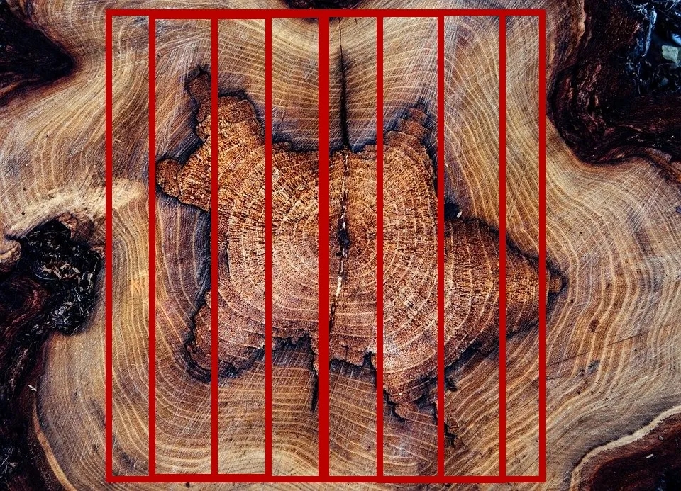 2.webp.jpg 2.webp.jpg